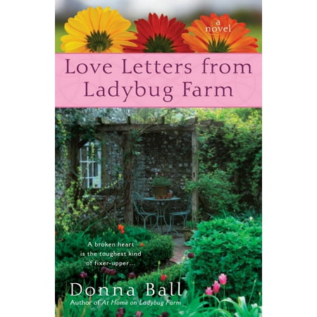 Love Letters from Ladybug Farm (Best Way To Remove Love Bugs From Car)