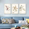 thumbnail image 3 of wall26 Floating Framed Canvas Wall Art for Living Room, Bedroom Vintage Bird Flower Canvas Prints for Home Decoration Ready to Hang - 16"x24"x3 Panels, 3 of 4
