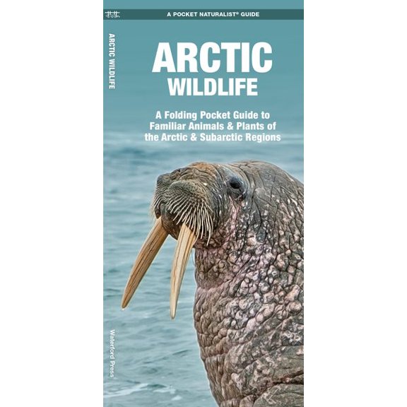 Pre-Owned Wildlife and Nature Identification: Arctic Wildlife : A Folding Pocket Guide to Familiar Animals & Plants of the Arctic and Subarctic Regions (Other)