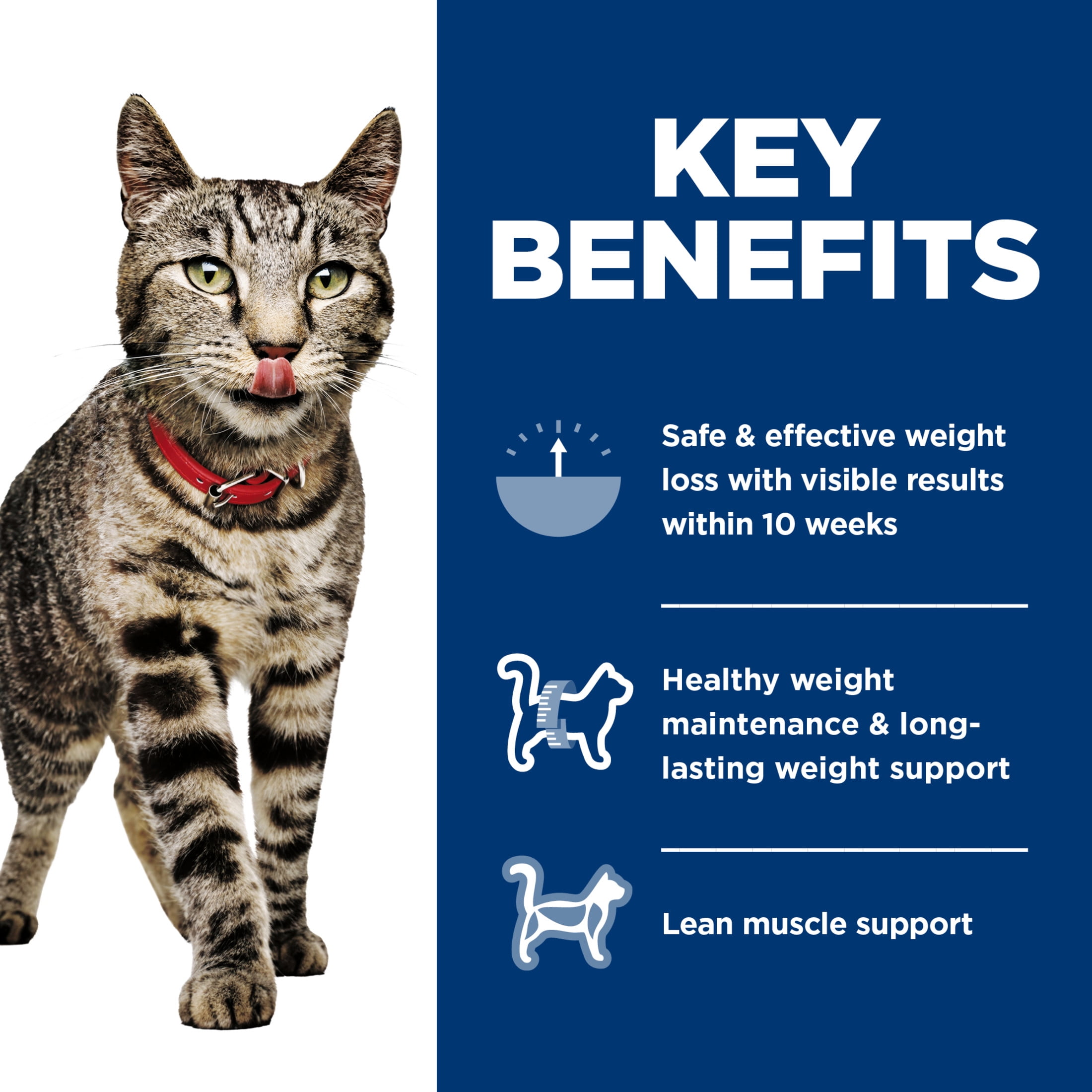 Hill's Science Diet Perfect Weight Wet Cat Food Variety Pack, 2.9oz Can 12pk