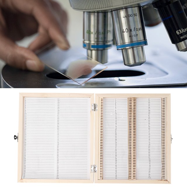 Wooden Prepared Slide Box, Specimens Slide Box, Basic Biology For Home For School Science Education