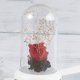 thumbnail image 4 of GOOHOCHY Difusor de aroma con carga USB, diseño de flor eterna, humidificador LED, purificador, luz nocturna, aromaterapia para decoración del hogar (rosa roja), 4 of 8