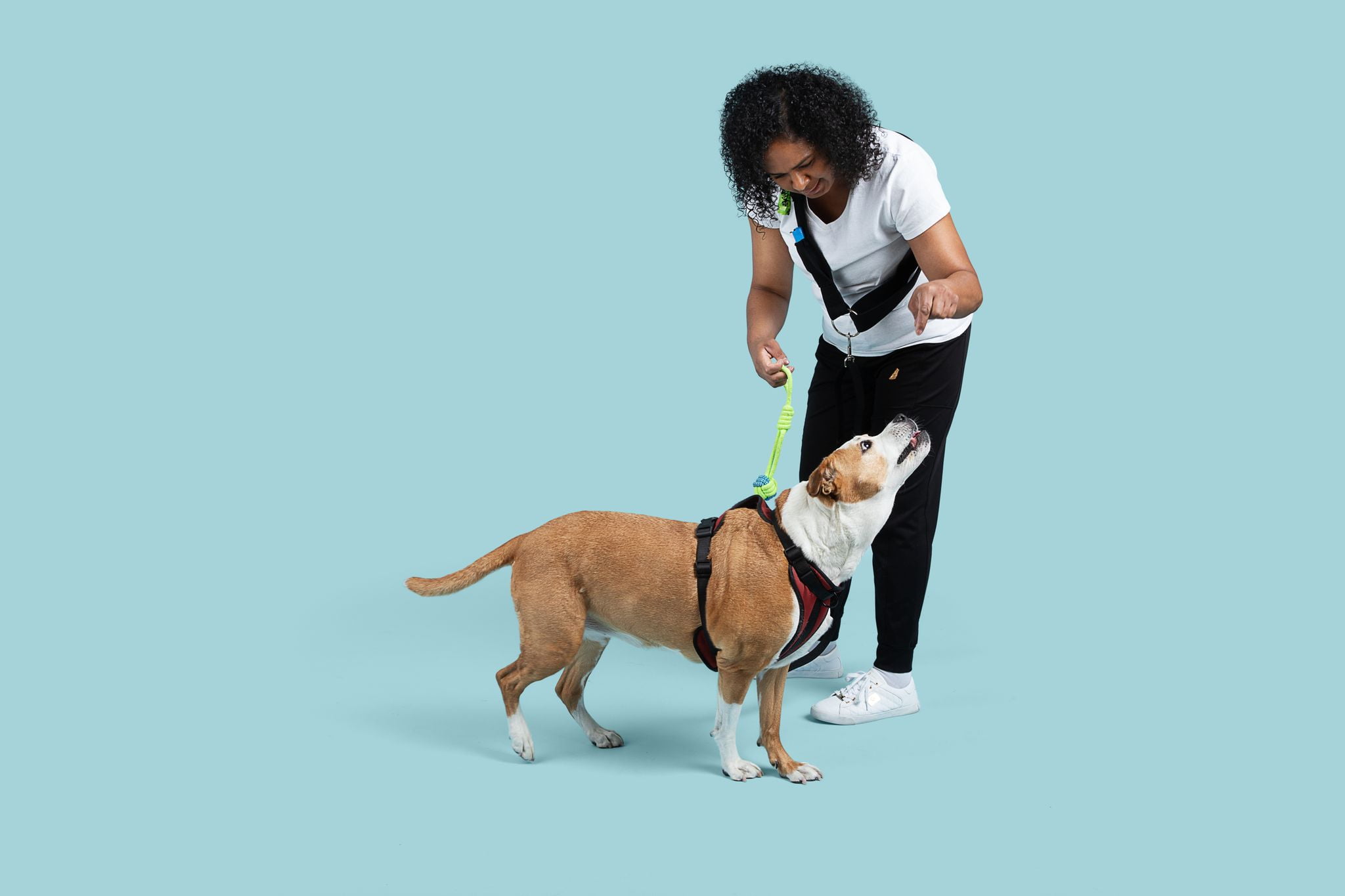 WaggleYourTail Adjustable Hands Free Crossbody Dog Leash