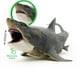 thumbnail image 5 of Figura de Dinosaurio Didacti Juegos Tiburon Prehistórico 30 cm DJ-1141, 5 of 7