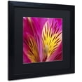 thumbnail image 2 of Trademark Fine Art "Princess Lily Abstract" Canvas Art by Kurt Shaffer, Black Matte, Black Frame, 2 of 4