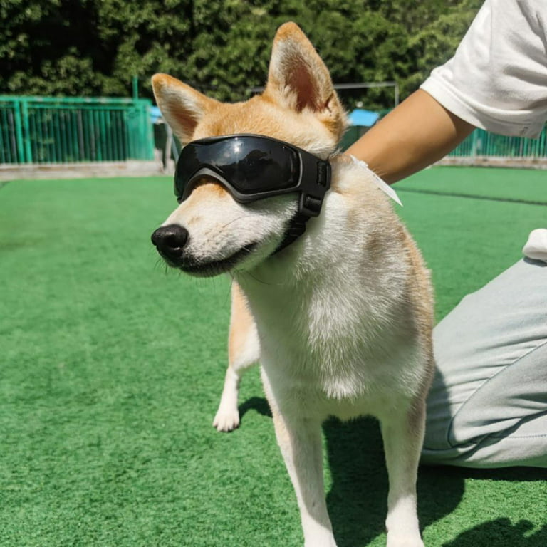 Dog Sunglasse Medium UV Protection Adjustable Pug Sunglasses Easy
