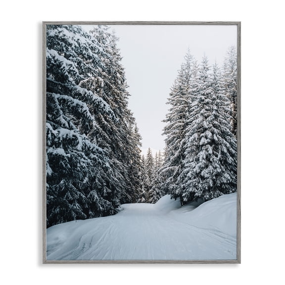 Stupell Industries Farmhouse Snowy Ski Slopes Gray Framed Giclee Art, 16 x 20, by Incado