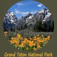 thumbnail image 3 of CafePress - Grand Teton Mountains With Yellow Spr Dark T Shirt - Men's Classic Graphic Cotton T-Shirt, 3 of 4