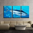 thumbnail image 2 of wall26-3 Piece Canvas Wall Art - Bluefin Tuna Thunnus Thynnus Saltwater Fish in Mediterranean - Modern Home Art Stretched and Framed Ready to Hang - 16"x24"x3 Panels, 2 of 3