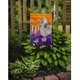 thumbnail image 2 of Carolines Treasures CK3219GF Hallween Silver Poodle Garden Size Flag, 2 of 3