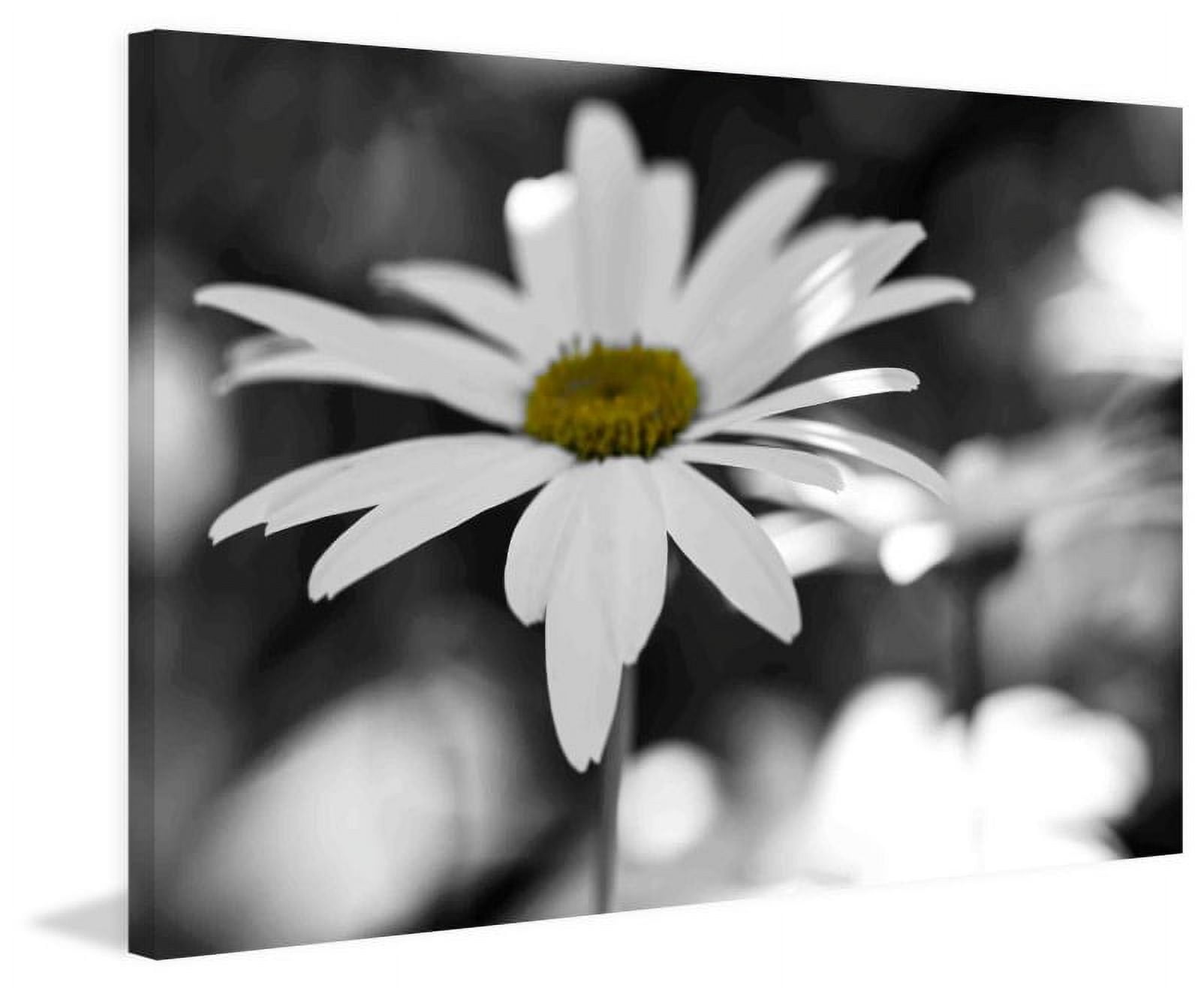 Marmont Hill "Sun Speckled Daisy" Painting Print on Canvas