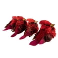 thumbnail image 6 of Cardinal Clip-On Sisal Christmas Bird Ornaments - 3.5" -  Red - Set of 4, 6 of 7