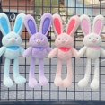 thumbnail image 4 of Lindo juguete de peluche de conejo suave para niños y niñas, muñeco de Animal de peluche con orejas de conejo, llavero Kawaii, almohada, juguetes para bebés, regalo de cumpleaños, 4 of 4