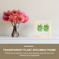 Double Sided Specimen Frame Woodsy Decor Photo Plant Desktop Adornment
