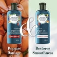 thumbnail image 3 of Herbal Essences bio:renew Argan Oil of Morocco SHAMPOO, 400ml, No Parabens No Colourants, 3 of 3