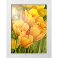 thumbnail image 1 of Murdock, Ramona 14x18 White Modern Wood Framed Museum Art Print Titled - Sunshine Tulips, 1 of 4