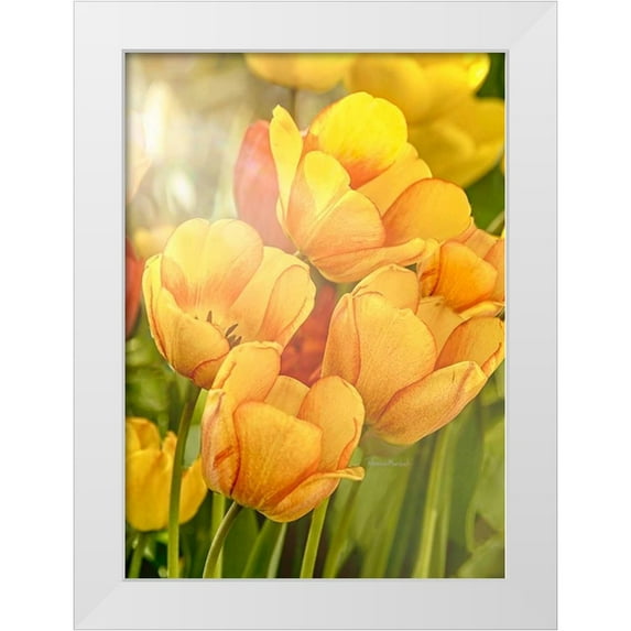 Murdock, Ramona 14x18 White Modern Wood Framed Museum Art Print Titled - Sunshine Tulips
