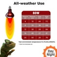 HARTOMPET 60W Infrared Red Heat Lamp Basking Bulb for Lizards