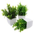 thumbnail image 1 of UPGRATOR 3Ud Plantas Falsas Pequeñas De Con Realistas Y Macetas Negras, 1 of 6