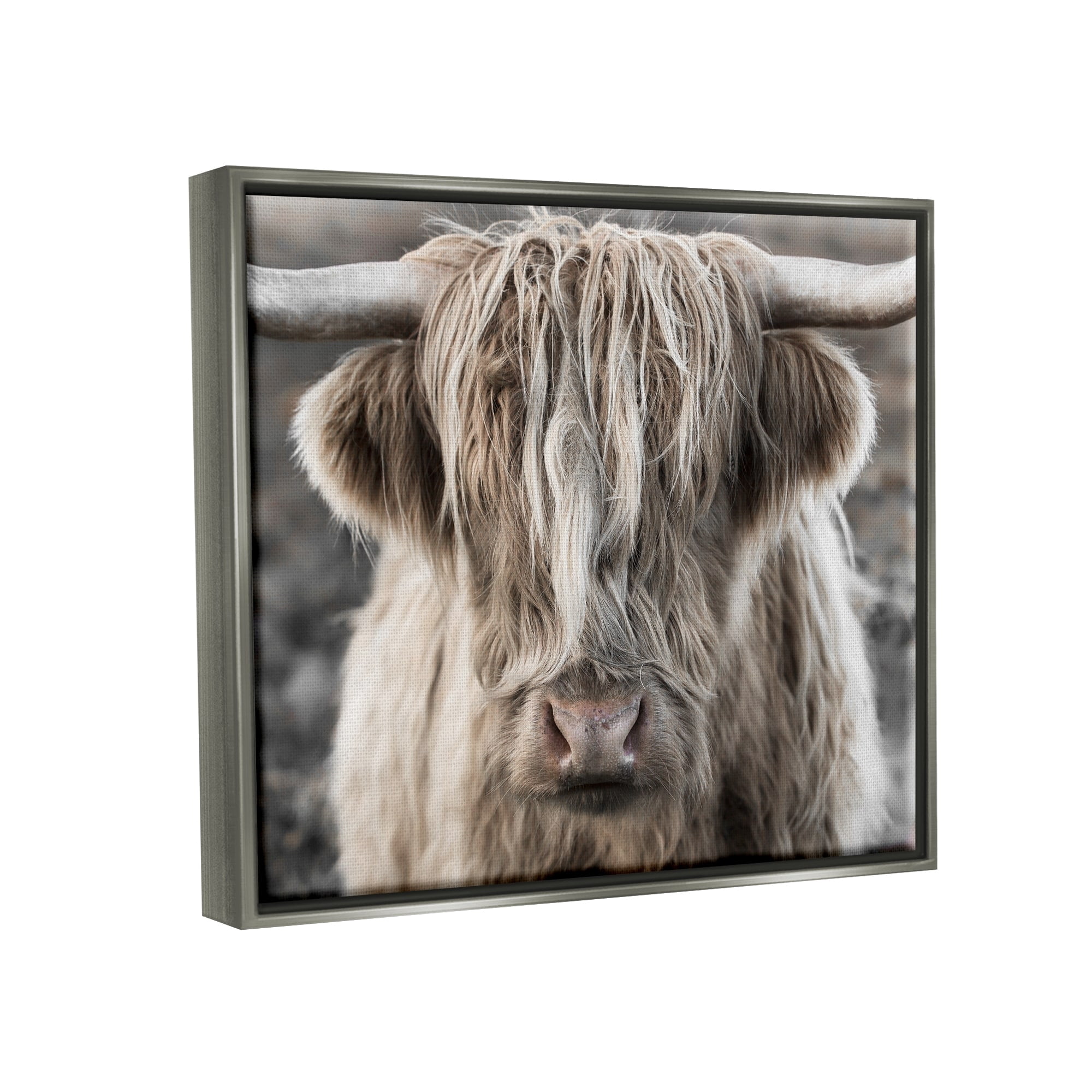 Stupell Industries Detailed Highlands Cattle Rural Farm Animal Photography Photograph Luster Gray Floating Framed Canvas Print Wall Art, Design by Danita Delimont