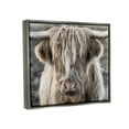 thumbnail image 2 of Stupell Industries Detailed Highlands Cattle Rural Farm Animal Photography Photograph Luster Gray Floating Framed Canvas Print Wall Art, Design by Danita Delimont, 2 of 5