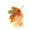 thumbnail image 2 of Shefranov, Olga 15x18 White Modern Wood Framed Museum Art Print Titled - Fall Leaves II, 2 of 4
