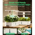 thumbnail image 3 of LetPot 10-Pod Hydroponics Growing System - APP & WiFi Controlled Smart Indoor Herb Garden Kit with Grow Lights & Pump, Height Adjustable, Gardening Gift, 3 of 8