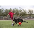 thumbnail image 2 of Jolly Pets Pelota de futbol Juguete de perro flotante que re Jolly Pets  Jolly Pets, 2 of 2
