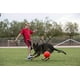 thumbnail image 2 of Jolly Pets Pelota de futbol Juguete de perro flotante que re Jolly Pets  Jolly Pets, 2 of 2