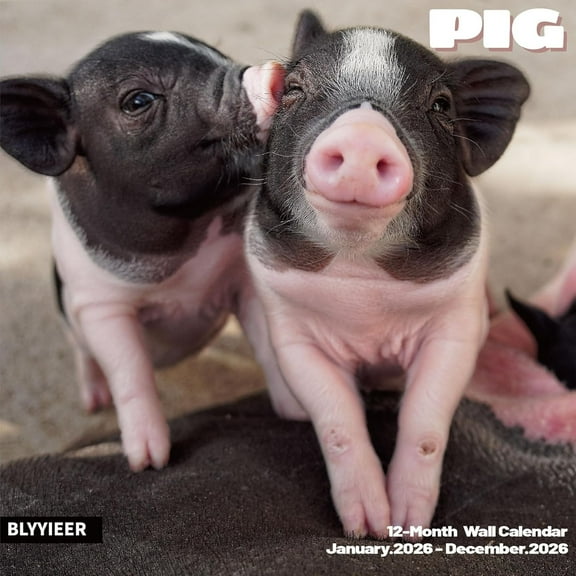 2026 Wall Calendar, Pig Calendar 2026,PIG Monthly Wall Calendar, 12" x 24" Open,Family Planner Calendar, Home & Office Organizer,Hangable