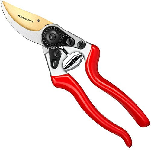 titanium secateurs