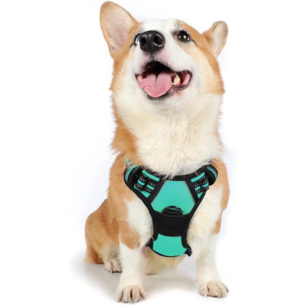Rabbitgoo Arnés para Mascotas sin Tirones con 2 Clips para Correa, Acolchado Suave Ajustable, Chaleco Oxford Reflectante para Mascotas sin asfixia con asa de fácil Control para Perros Grandes, Rosa, L