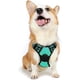 thumbnail image 1 of Rabbitgoo Arnés para Mascotas sin Tirones con 2 Clips para Correa, Acolchado Suave Ajustable, Chaleco Oxford Reflectante para Mascotas sin asfixia con asa de fácil Control para Perros Grandes, Rosa, L, 1 of 4