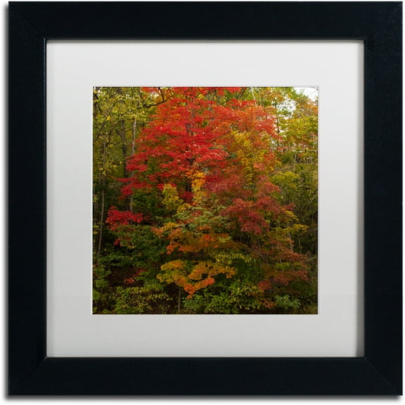 "Why I Love Autumn 2" Canvas Art by Kurt Shaffer, White Matte, Black Frame