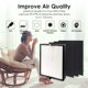 thumbnail image 4 of Filtro purificador de aire Flintar True HEPA H13 para Alen BreatheSmart Flex y 45i, 4 of 7