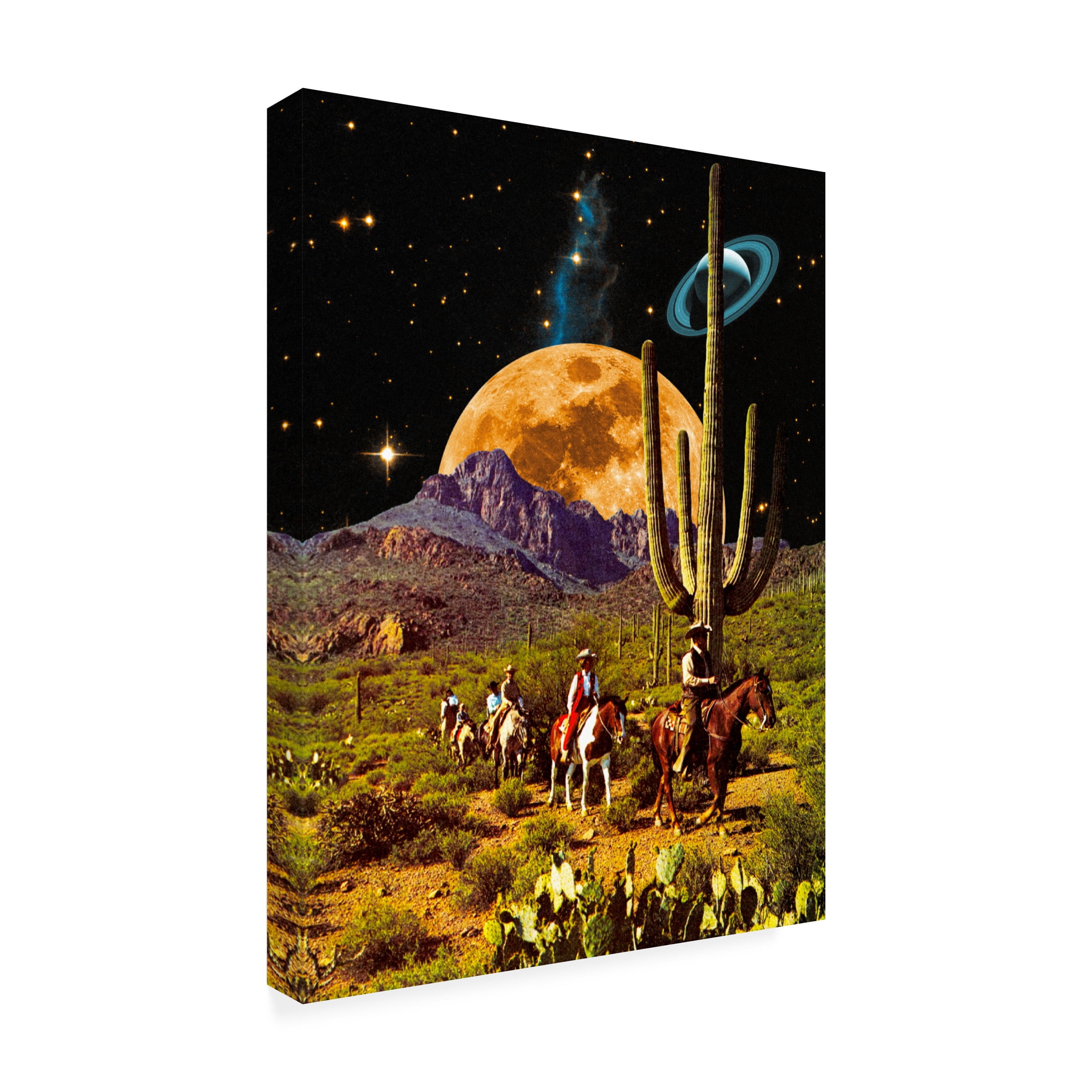 Taudalpoi 'Space Cowboys' Canvas Art