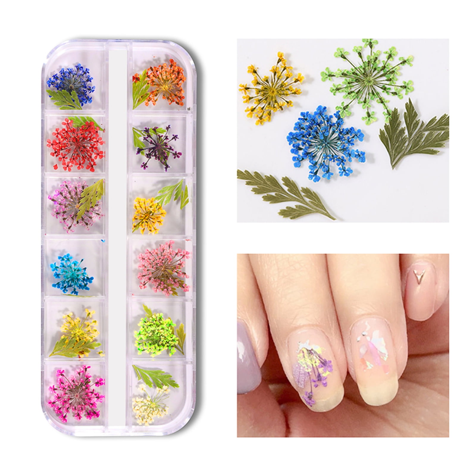 Dried Flowers For Resin Nail Art 3d Dry Flowers For Nails 2 Boxes Small  Tiny Dried Flowers For Nail Art Little Pressed Real Natural Flower Nail Art  D | Fruugo DK