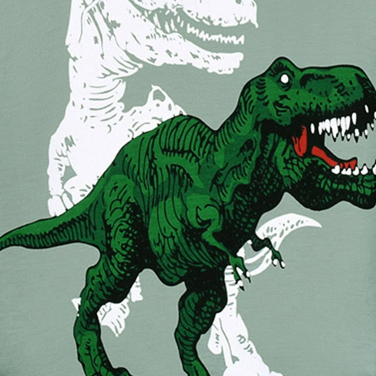 Little Boys Big Boy Jogging Suits Pajamas Dinosaur Boy Clothes