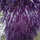 thumbnail image 5 of Naiovety 12 piezas de flores artificiales de Wisteria Vine para jardín púrpura Type2 NO2, 5 of 6