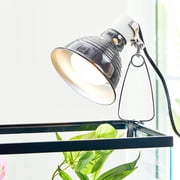 Vibrant Life Basking Bulb for Reptiles, 100 Watts, Terrarium Habitat Lighting
