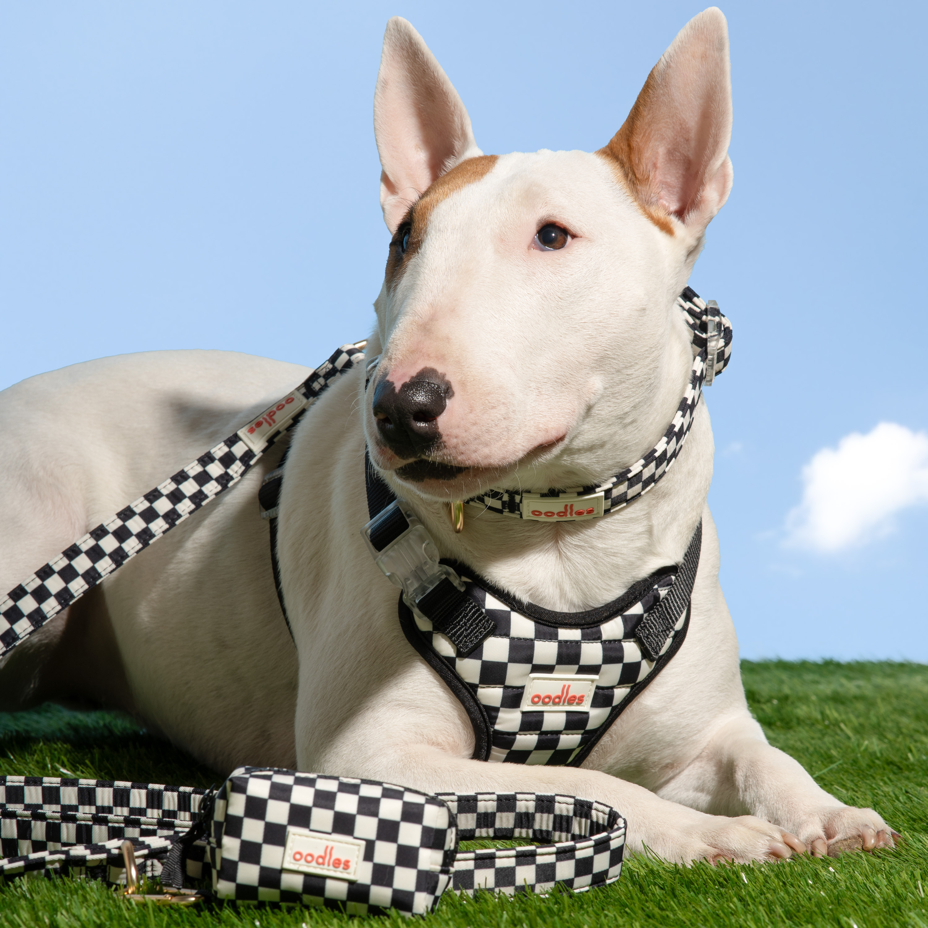Oodles Checkerboard Quilted Dog Harness Small photo 7