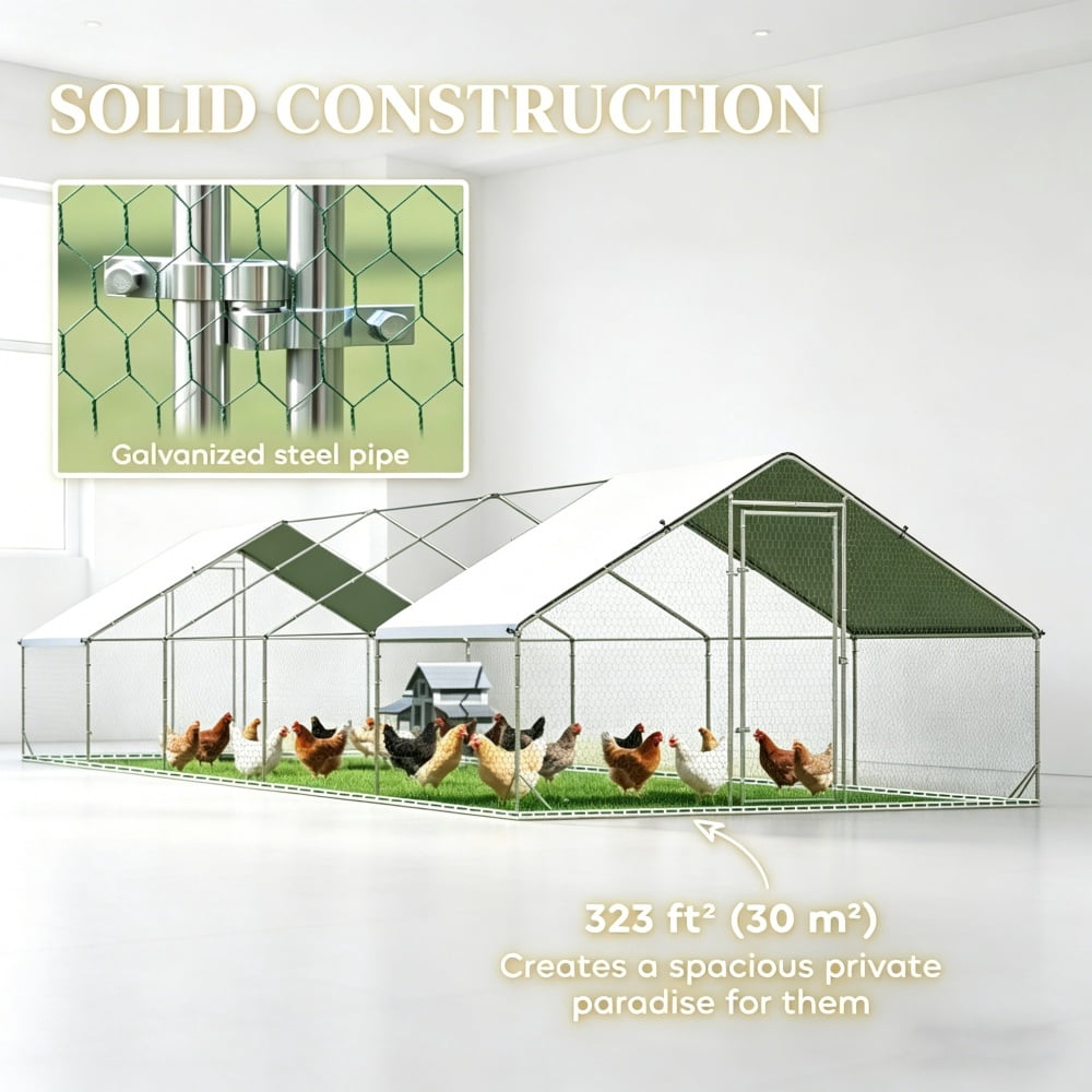 Chicken Coop