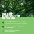 thumbnail image 4 of Kesh King Organic Neem Shampoo With Bhringraj | Removes Dandruff & Reduces Hair Fall | For Soft, Lustrous Hair |Organics | No Artificial Colours, Parabens, Phth, 4 of 4