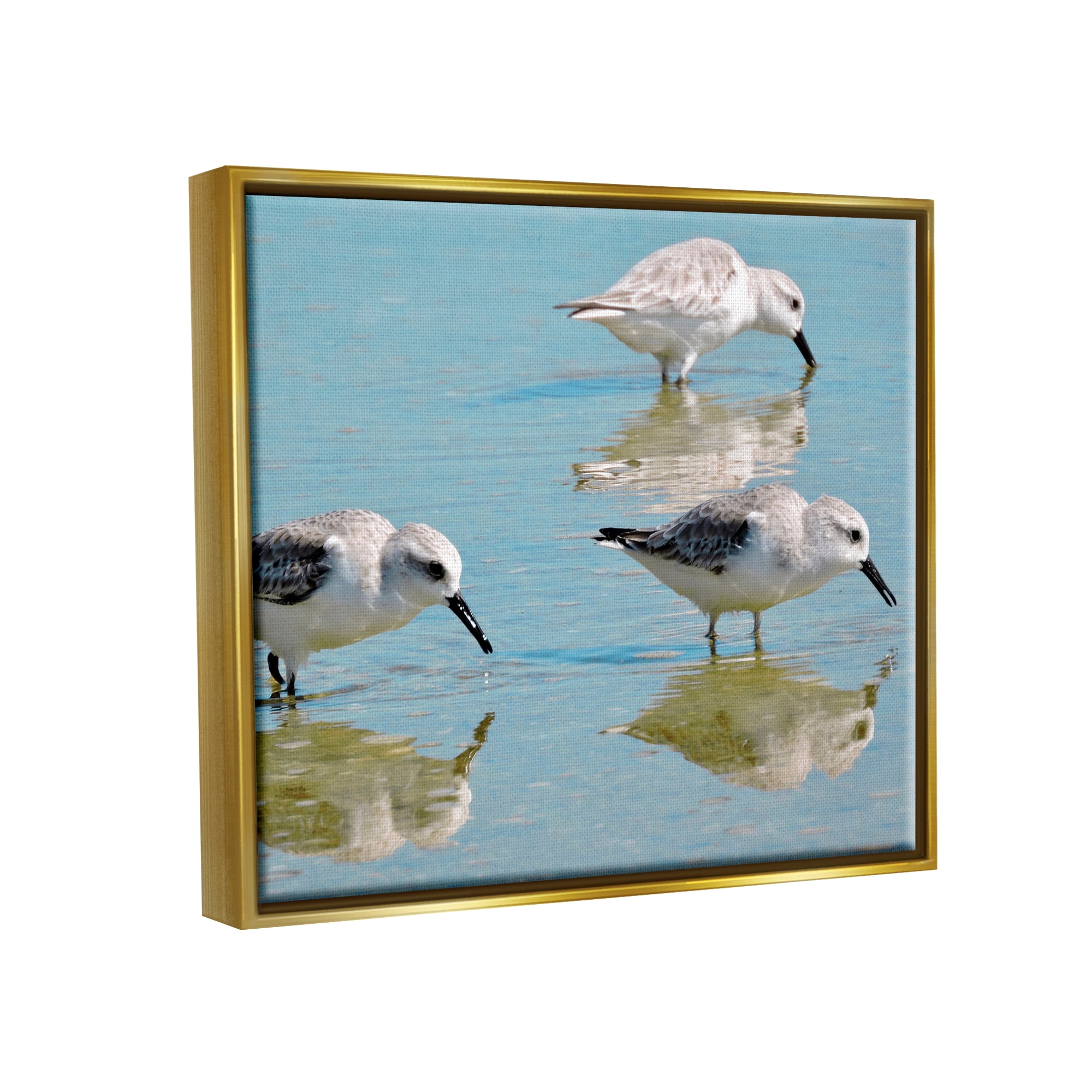 Stupell Industries Sandpipers Shallow Water Reflection Coastal Photography Gold Floater Framed Art Print Wall Art