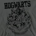 thumbnail image 2 of Harry Potter Hogwarts Logo Pull-Over Hoodie Sweatshirt & Stickers (Small) Charcoal, 2 of 5