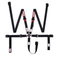 thumbnail image 6 of Racequip 841001RQP Camlock 2" SFI 16.1 5-Point Harness with Pull Down Lap Belt, 6 of 7