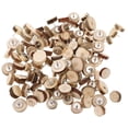 thumbnail image 1 of USHOBE 100pcs Wood Push Pins for Office Use with Simple Design in Brown Color, 1 of 8