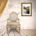 thumbnail image 3 of Hausenflock, Alan 13x18 Gold Ornate Wood Framed with Double Matting Museum Art Print Titled - Sea Oats and Shadow II, 3 of 4