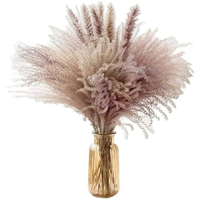 Ramo de flores secas Flores secas naturales, Ramo de caña Flores Pampas Espigas de trigo Setaria para decoración del hogar y la oficina