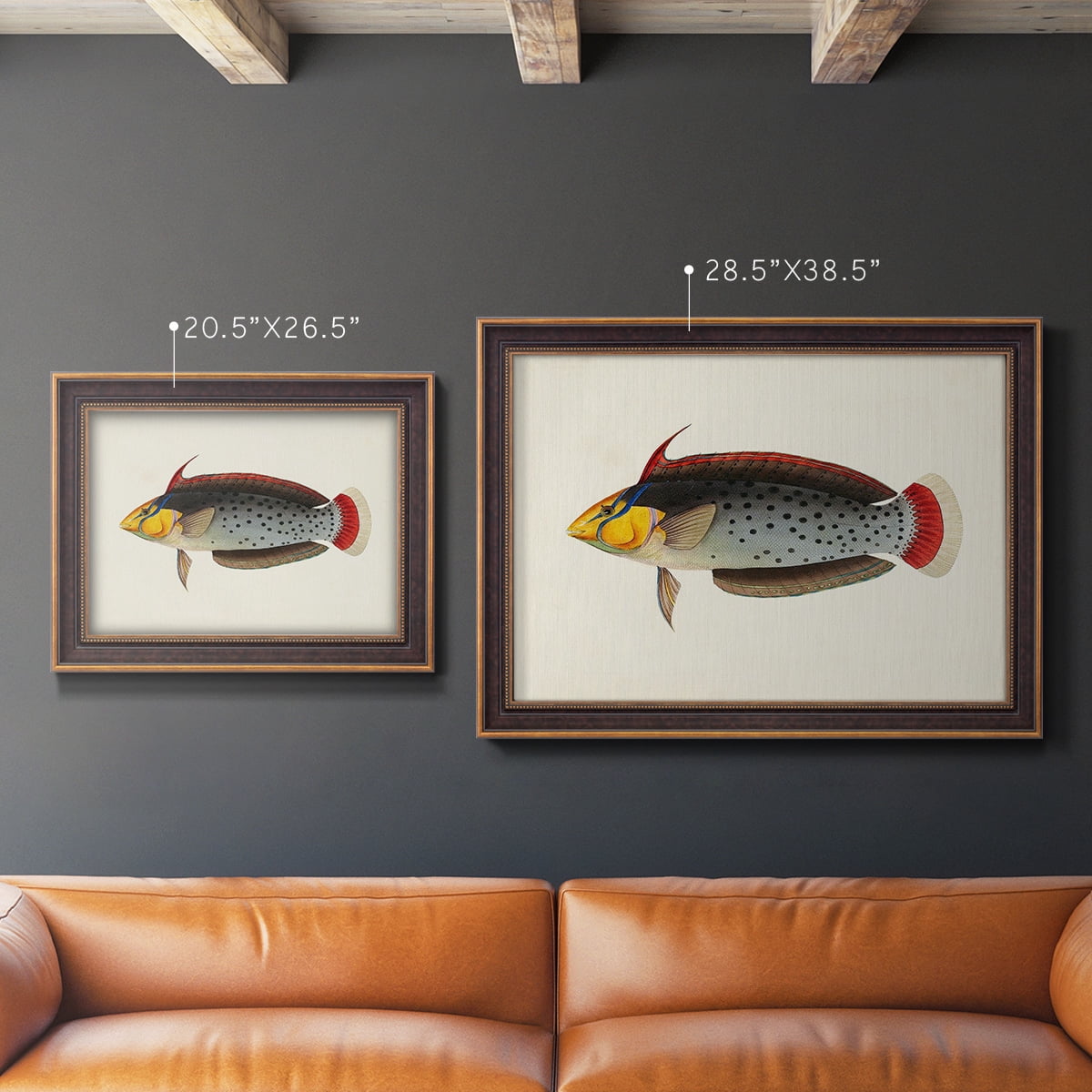 Tropical Fish Collection IV Premium Framed Canvas- Ready to Hang